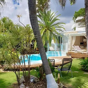 Piscine Et Iguanes En Bord De Proche Plages Marina Et Golf Saint-Francois (Grande-Terre)